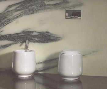 Toilettes Vitruvit Smoke