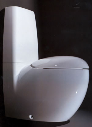 Toilettes Laufen Alessi
