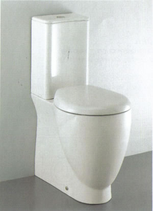 Toilette, Douches