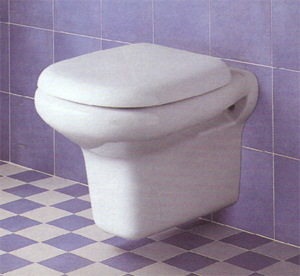 Toilette, Lavabos à poser, Vasques